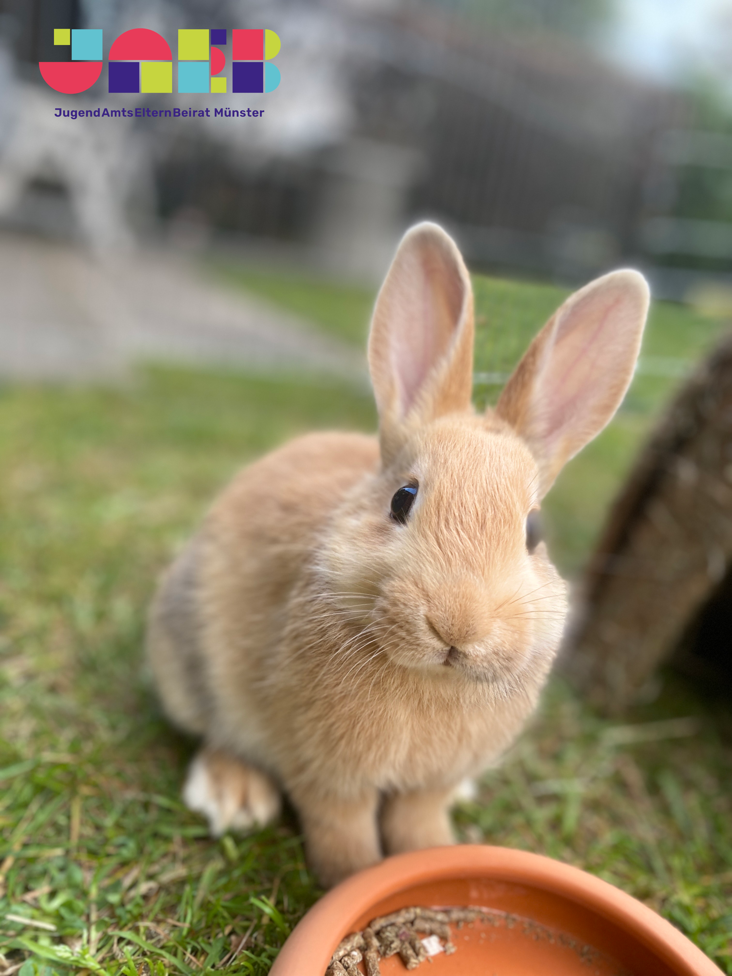 Frohe Ostern